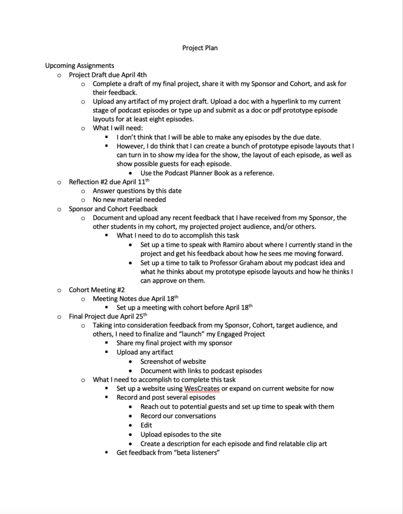 A picture of the project plan that I developed for this project.
